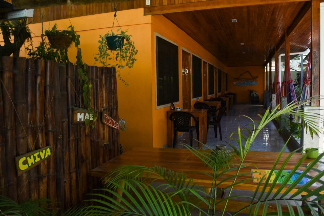 Cocobolo Surf Hotel & School Playa Santa Teresa (Puntarenas) Exterior foto